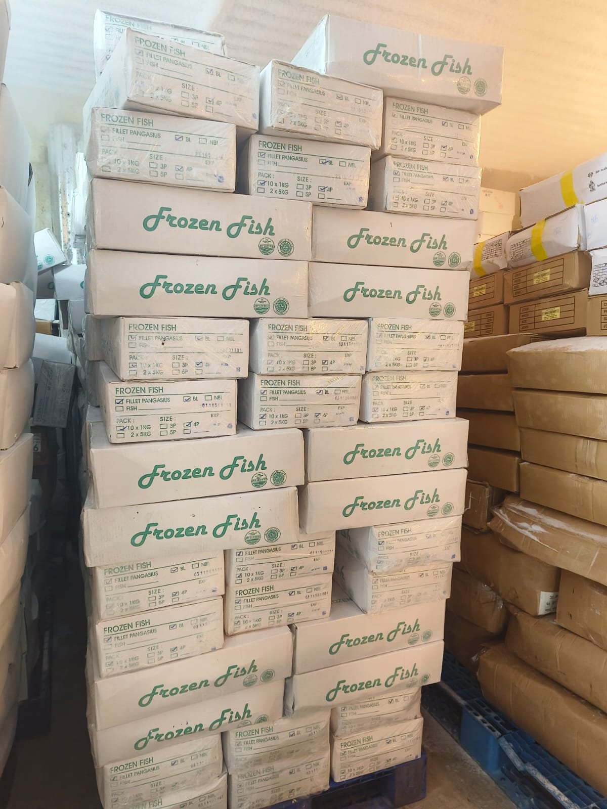 Daftar Harga Potongan Ayam Karkas: Sayap, Dada, Paha, dan Fillet Frozen